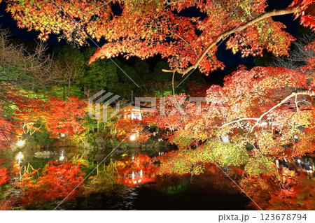 【京都府】醍醐寺の紅葉ライトアップ（夜間拝観） 123678794