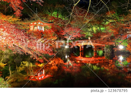 【京都府】醍醐寺の紅葉ライトアップ（夜間拝観） 123678795