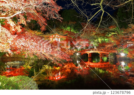 【京都府】醍醐寺の紅葉ライトアップ（夜間拝観） 123678796