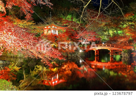 【京都府】醍醐寺の紅葉ライトアップ（夜間拝観） 123678797