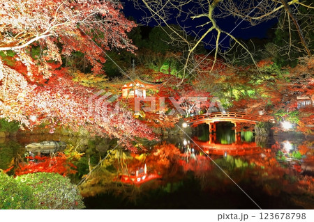 【京都府】醍醐寺の紅葉ライトアップ（夜間拝観） 123678798