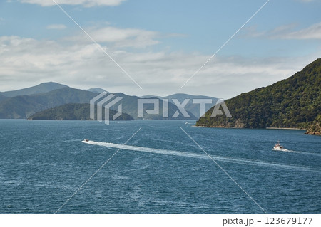 Calm Sea Bay wit Boats, Picton, New Zealand 123679177