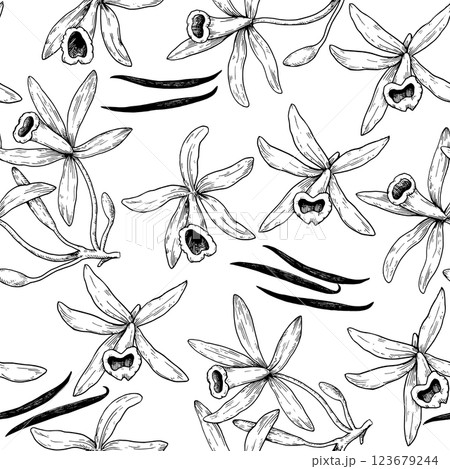 Seamless pattern with vanilla orchid flowers and sticks in engraving vintage style. Hand-drawn illustration. Seamless pattern with vanilla orchid flowers and sticks in engraving vintage style. Hand-drawn illustration. 123679244