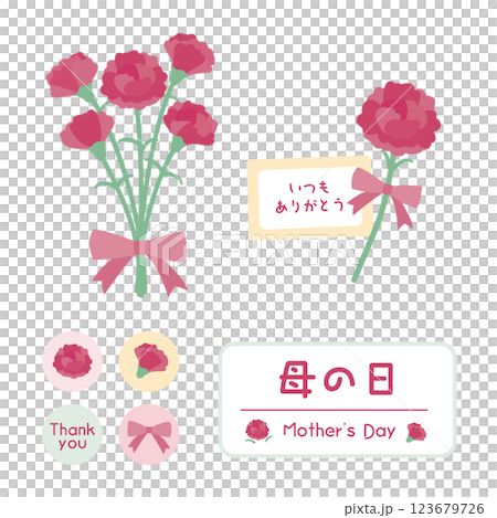 母の日のカーネーションイラストセット 123679726