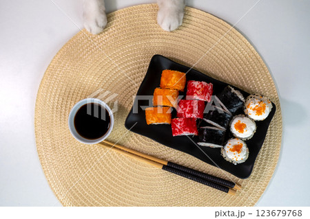 Cat paws and sushi platter with soy sauce and chopsticks 123679768