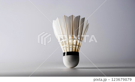 badminton shuttlecock and badminton racket, a badminton shuttlecock resting on a green court near the white boundary line, training materials, and marketing for badminton events 123679879
