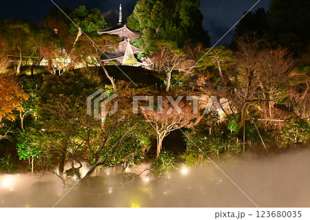 椿山荘の夜景 雲海 椿山荘の夜景 雲海 123680035