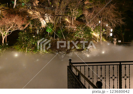 椿山荘の夜景 雲海 椿山荘の夜景 雲海 123680042