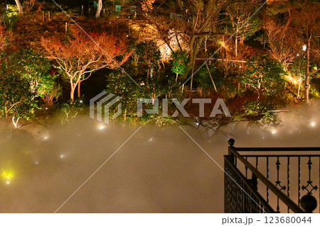 椿山荘の夜景 雲海 椿山荘の夜景 雲海 123680044