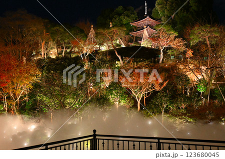 椿山荘の夜景　雲海 123680045