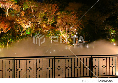 椿山荘の夜景　雲海 123680051