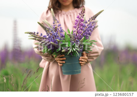 Young girl holding purple and blue lupine flowers in a field 123680157