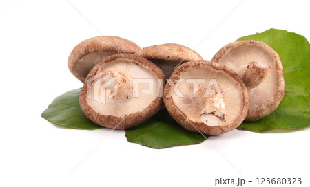 Shitake mashrooms on green leave isolated on white background. 123680323