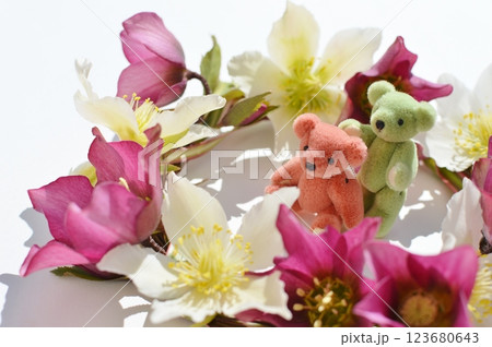 クリスマスローズの花のリースとテディベア クリスマスローズの花のリースとテディベア 123680643