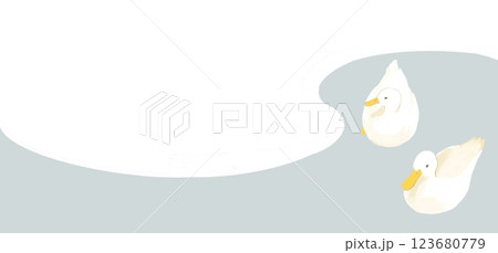 水に浮かぶ二羽のアヒルのフッター素材 123680779