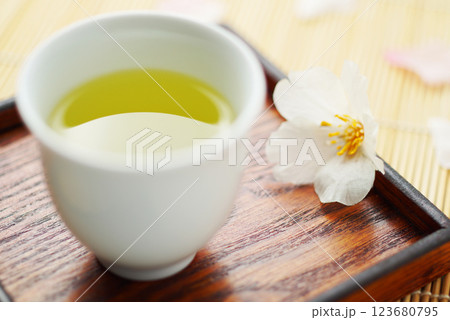 春のお茶(緑茶) 123680795