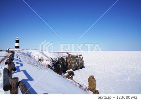 冬の能取岬　北海道 123680942