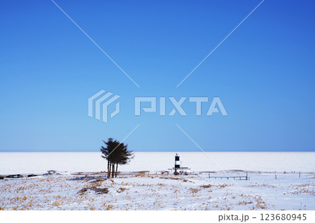 冬の能取岬　北海道 123680945