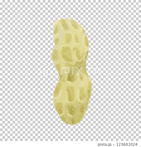 ピーナッツの殻のシンプルな手描きカラーイラスト 123681024