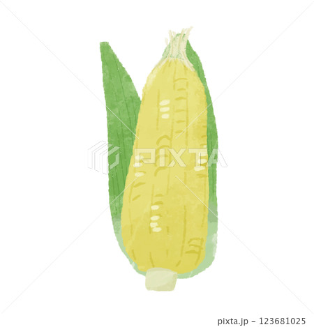 とうもろこしのシンプルな手描きカラーイラスト とうもろこしのシンプルな手描きカラーイラスト 123681025