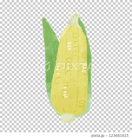 玉米的簡單手繪彩色插圖 123681025