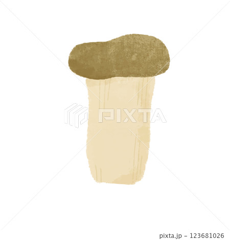 えりんぎのシンプルな手描きカラーイラスト 123681026