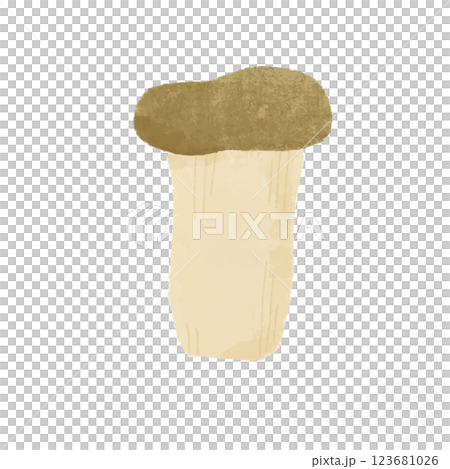 えりんぎのシンプルな手描きカラーイラスト 123681026