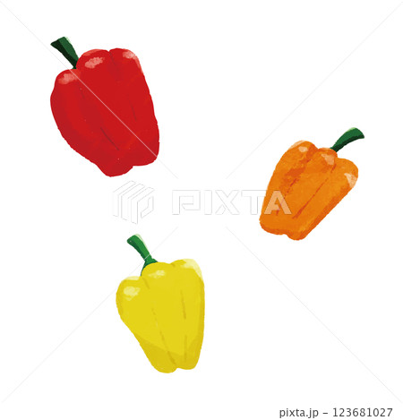 パプリカのシンプルな手描きカラーイラスト 123681027