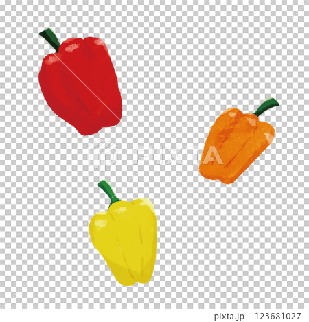 パプリカのシンプルな手描きカラーイラスト 123681027