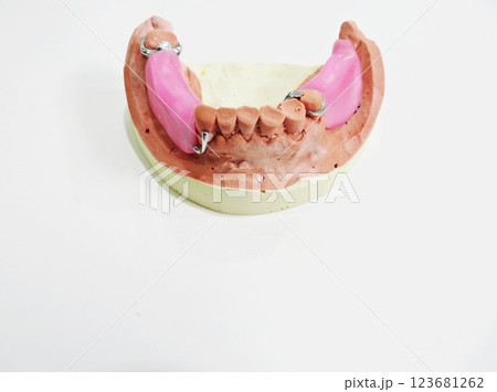 denture on the white background 123681262