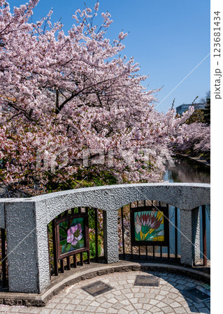 (とやまビューポイント)　富山城　松川べりの桜　4月 123681434