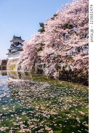 (とやまビューポイント) 富山城 松川べりの桜 4月 (とやまビューポイント) 富山城 松川べりの桜 4月 123681474