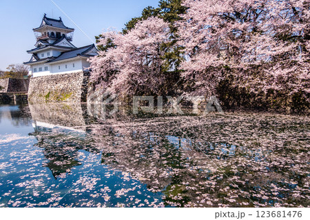 (とやまビューポイント)　富山城　松川べりの桜　4月 123681476