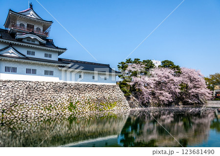 (とやまビューポイント)　富山城　松川べりの桜　4月 123681490