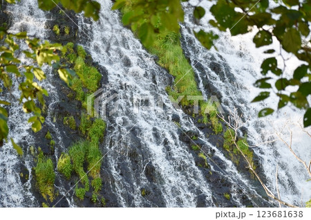 迫力満点のオシンコシンの滝 123681638