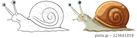 Cute Snail Vector Illustration and Outline Drawing 123681859