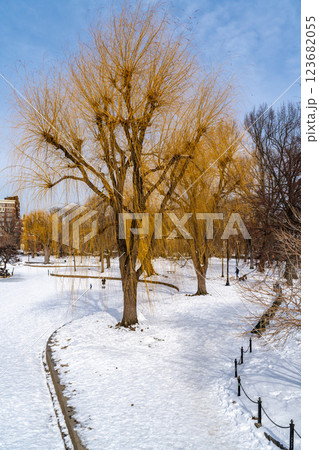 Public garden lake and park in Boston, MA covered with winter snow Public garden lake and park in Boston, MA covered with winter snow 123682055