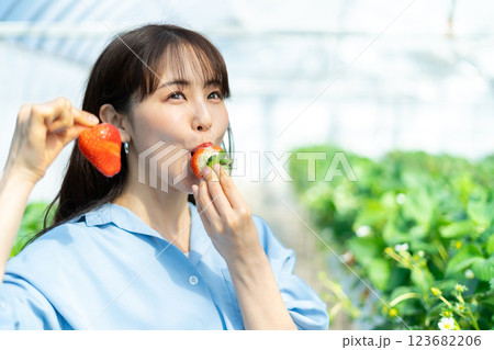 イチゴ狩りをする女性 いちご狩りをする女性 イチゴ狩りをする女性 いちご狩りをする女性 123682206