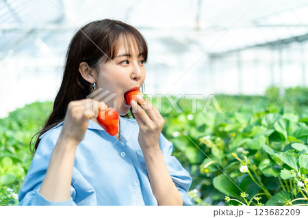 イチゴ狩りをする女性 いちご狩りをする女性 イチゴ狩りをする女性 いちご狩りをする女性 123682209