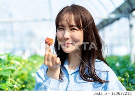 イチゴ狩りをする女性　いちご狩りをする女性 123682216