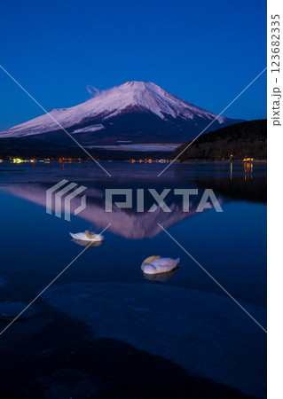 山中湖の眠る白鳥と逆さ富士 123682335