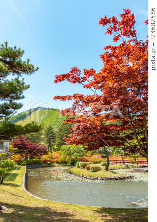 夜越山森林公園 夜越山森林公園 123682586