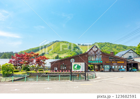 夜越山森林公園　サボテン　洋ラン　熱帯植物園 123682591