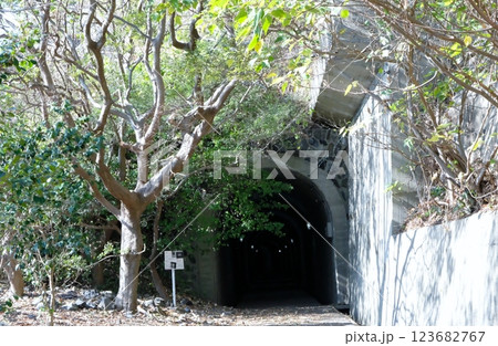 瀬戸内海の大津島には、回天訓練基地跡が残されている 123682767