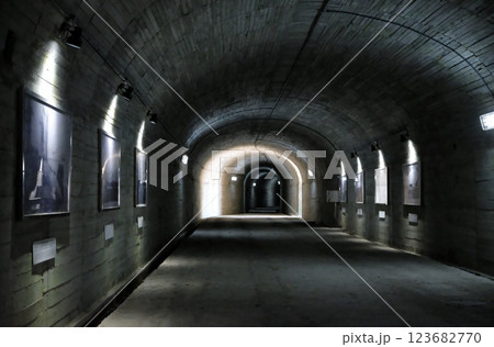 瀬戸内海の大津島には、回天訓練基地跡が残されている 瀬戸内海の大津島には、回天訓練基地跡が残されている 123682770