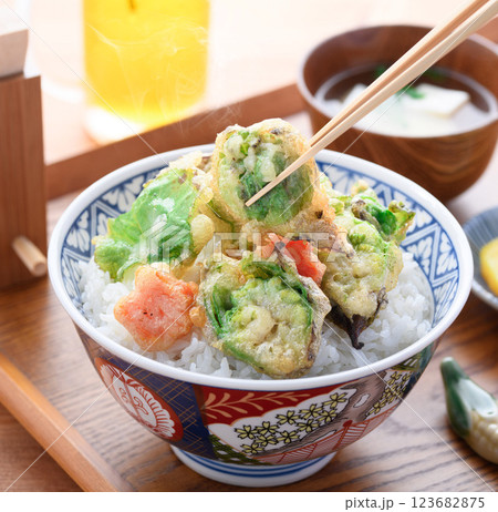 春の食材 ふきのとうの天丼 春の食材 ふきのとうの天丼 123682875