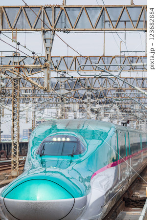 「埼玉県」大宮駅に入る東北新幹線・はやぶさ 「埼玉県」大宮駅に入る東北新幹線・はやぶさ 123682884