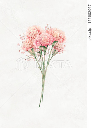 母の日のカーネーションの花束イラスト 123682967