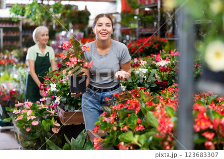 Young woman choosing blooming potted red begonia in hothouse Young woman choosing blooming potted red begonia in hothouse 123683307