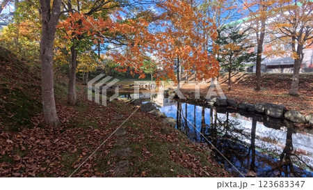 紅葉と池のある公園 紅葉と池のある公園 123683347